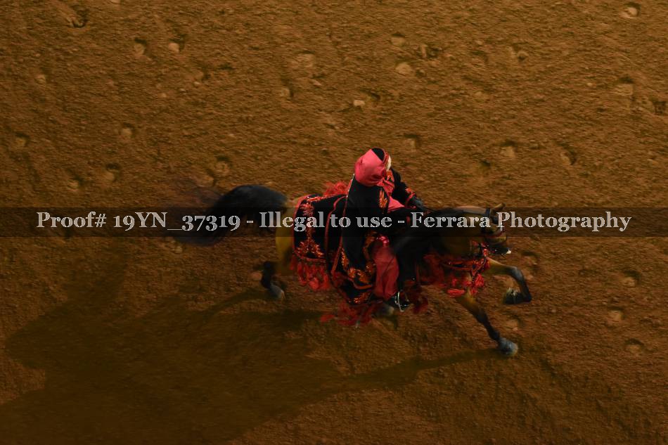Proof 19YN_37319