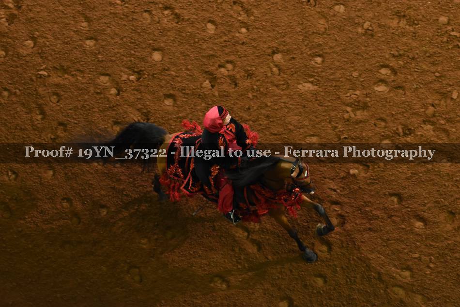 Proof 19YN_37322