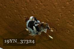 19YN_37324 proof