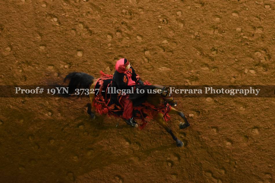 Proof 19YN_37327