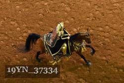 19YN_37334 proof