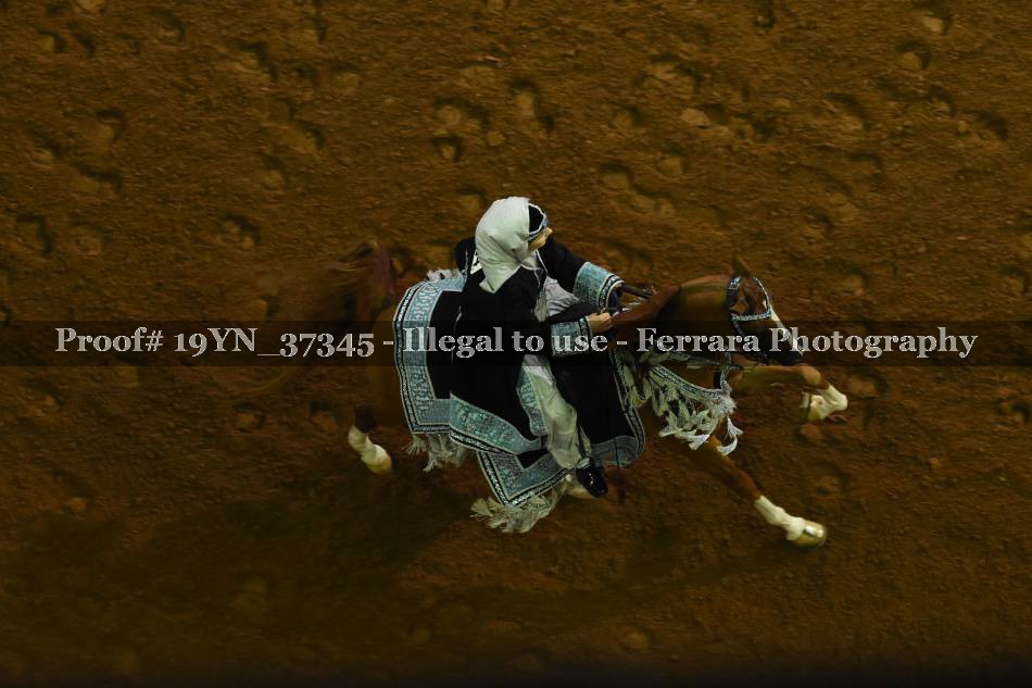 Proof 19YN_37345
