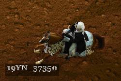 19YN_37350 proof