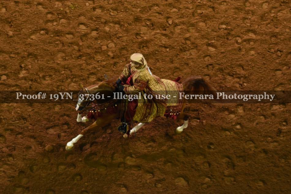 Proof 19YN_37361