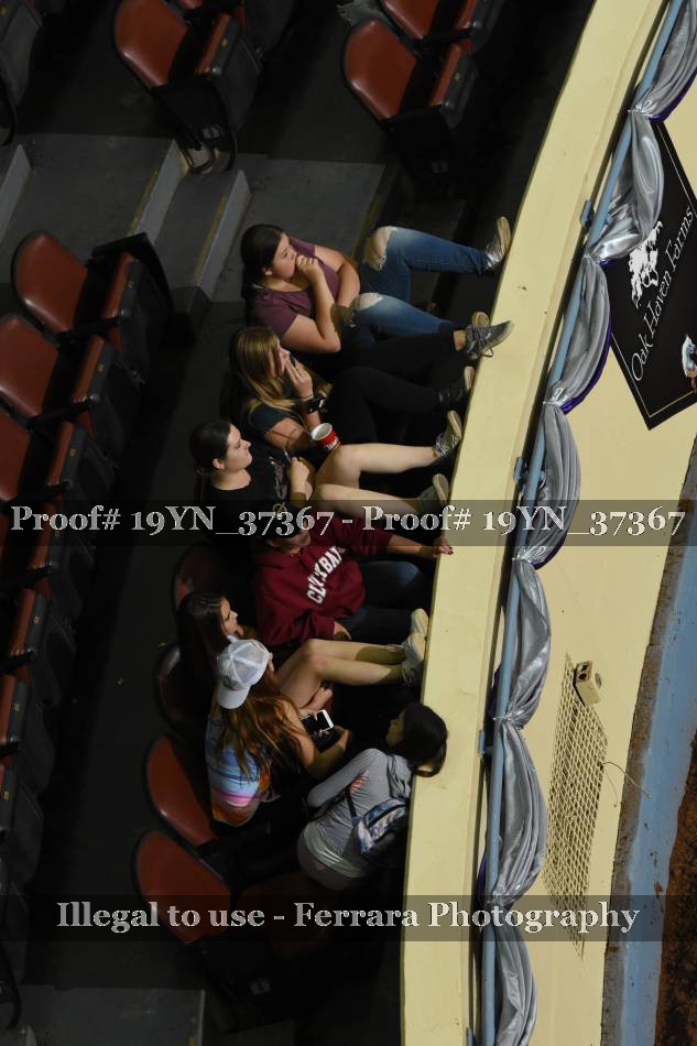 Proof 19YN_37367