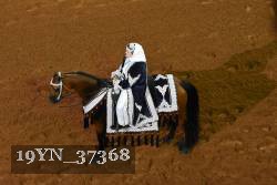 19YN_37368 proof