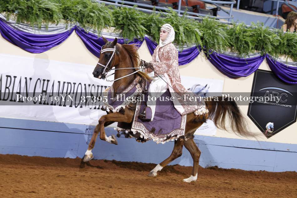Proof 19YN_37395