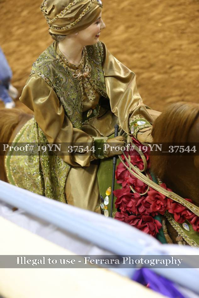 Proof 19YN_37544