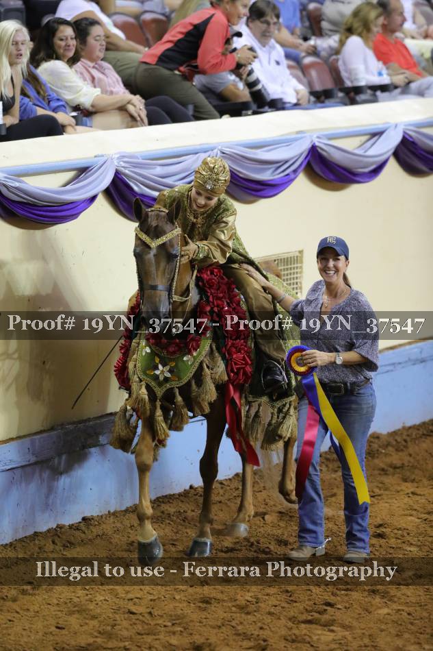 Proof 19YN_37547