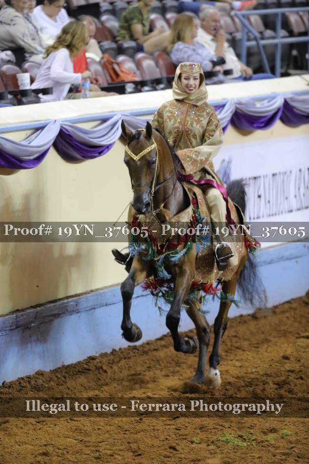 Proof 19YN_37605