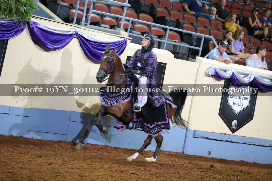 Proof 19YN_30102