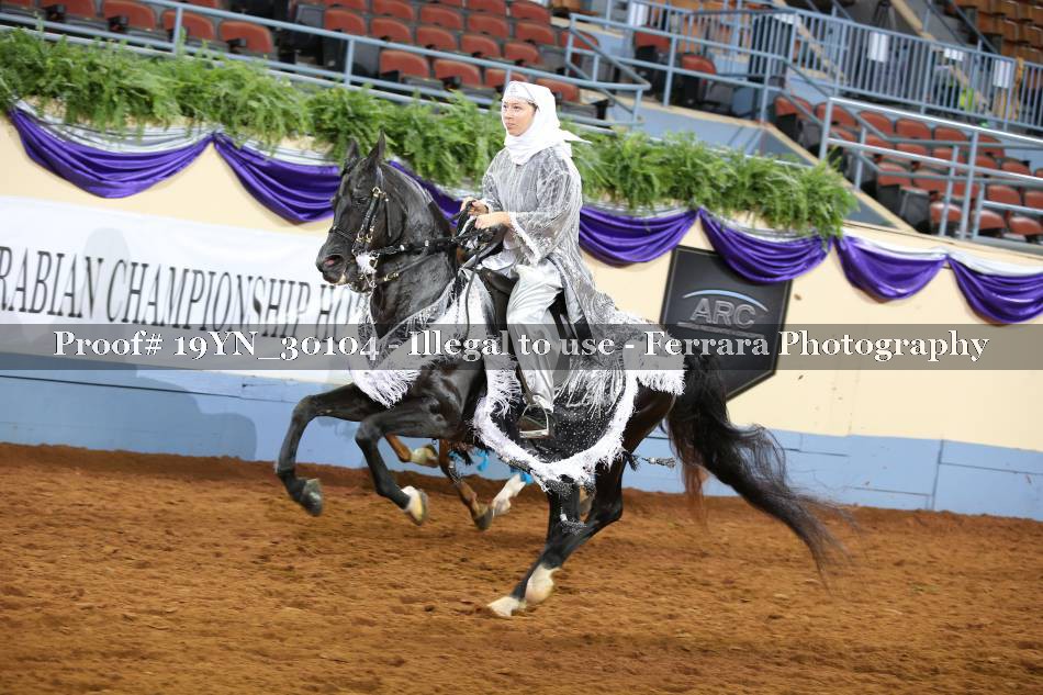 Proof 19YN_30104