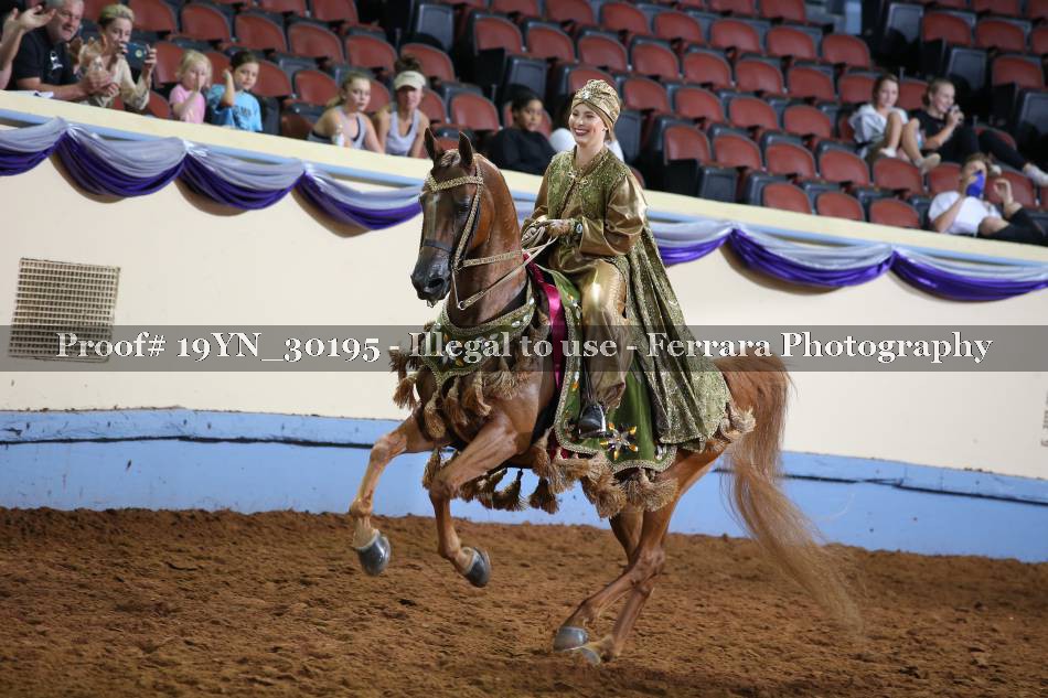 Proof 19YN_30195