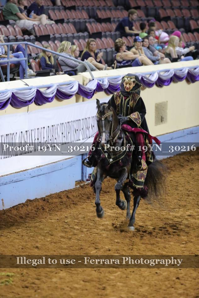 Proof 19YN_30216