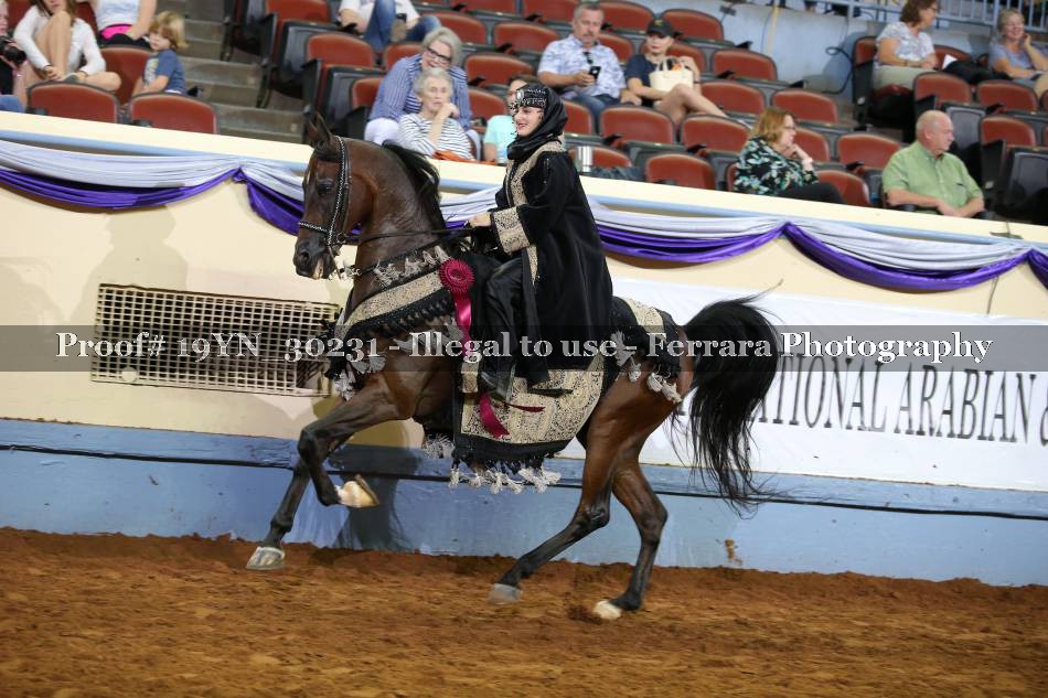 Proof 19YN_30231