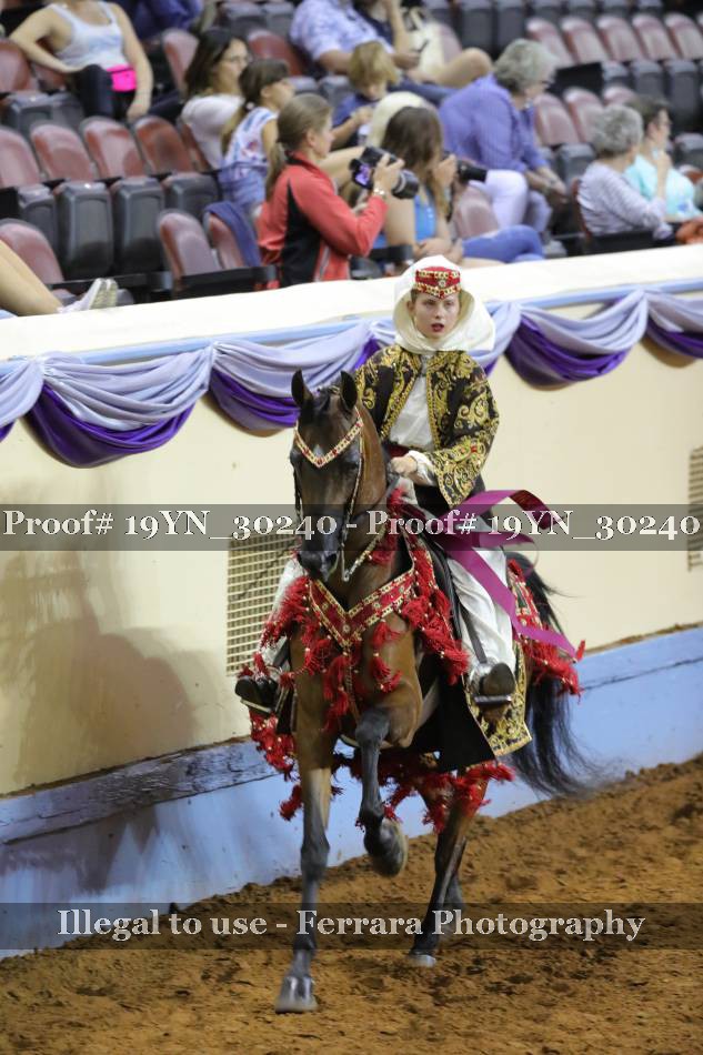 Proof 19YN_30240