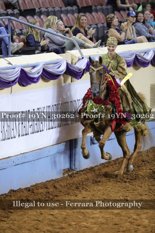 Proof 19YN_30262