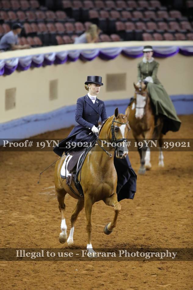 Proof 19YN_39021
