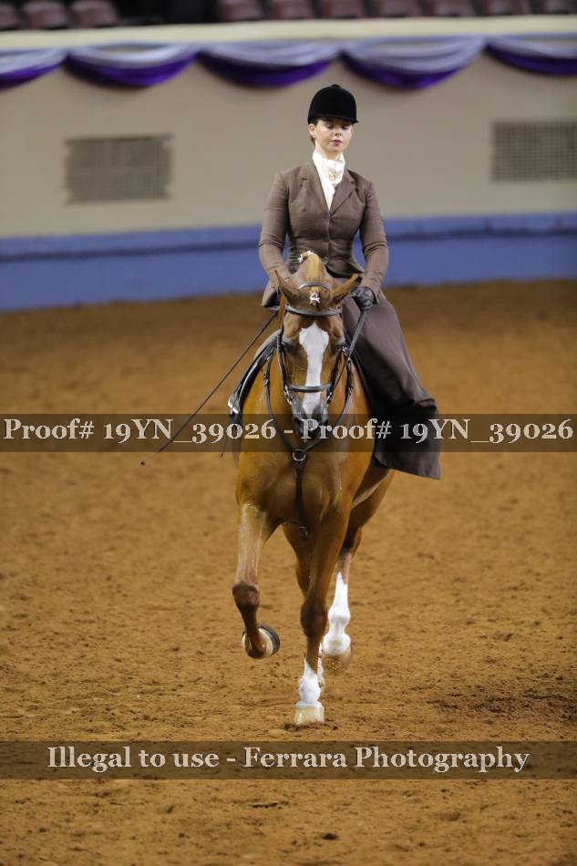 Proof 19YN_39026