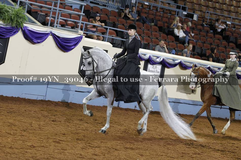 Proof 19YN_39046