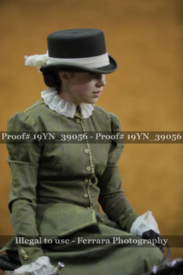 Proof 19YN_39056