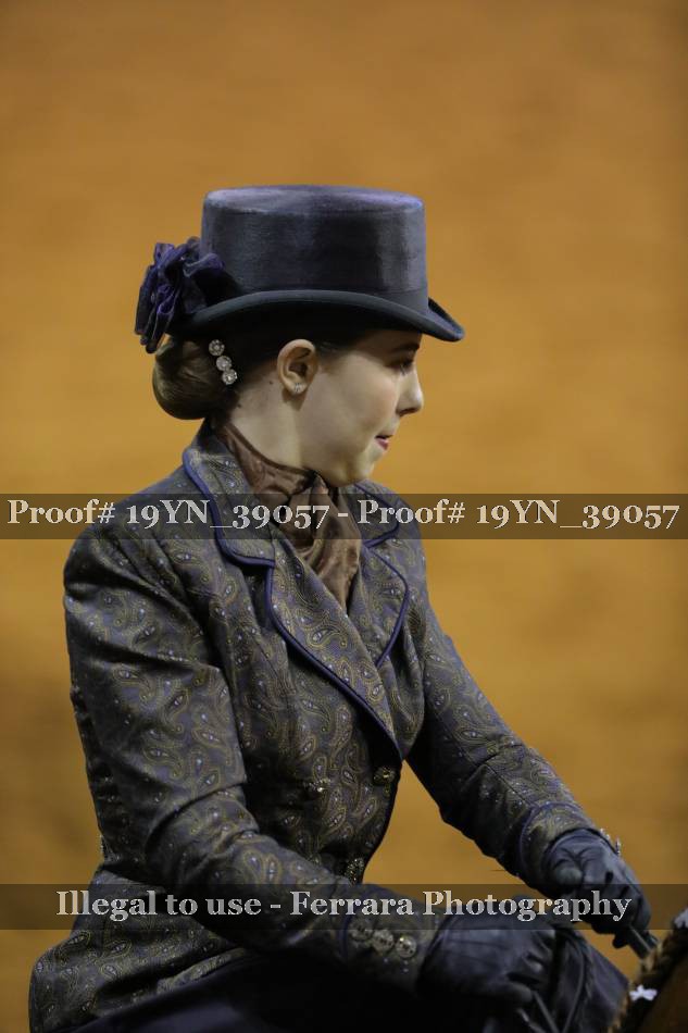 Proof 19YN_39057