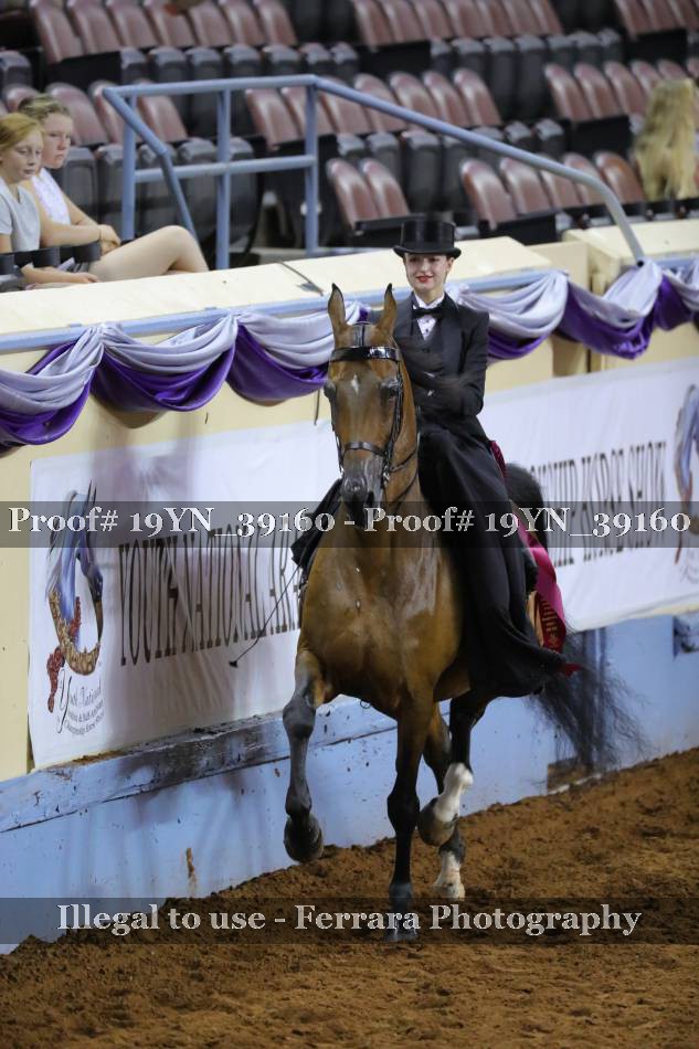 Proof 19YN_39160