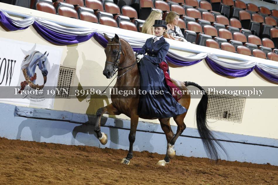 Proof 19YN_39180