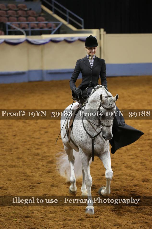 Proof 19YN_39188