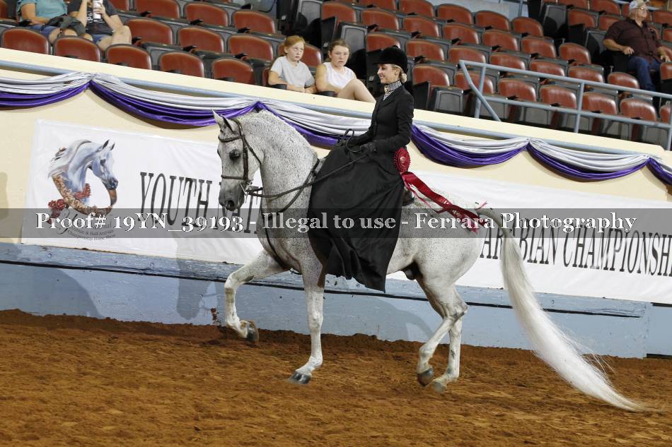 Proof 19YN_39193
