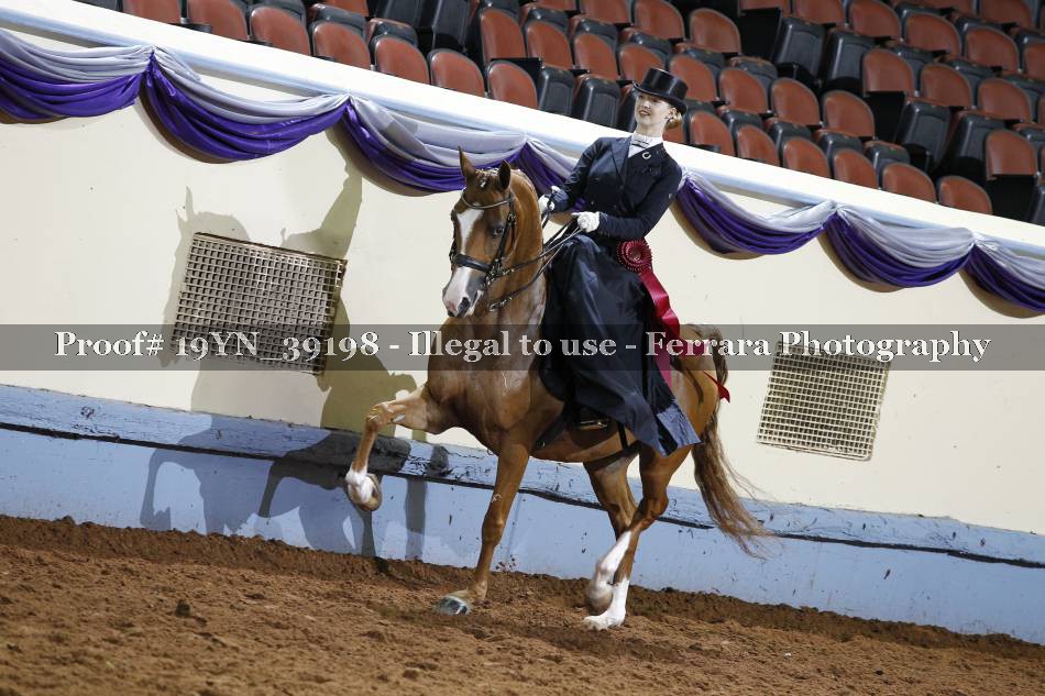 Proof 19YN_39198