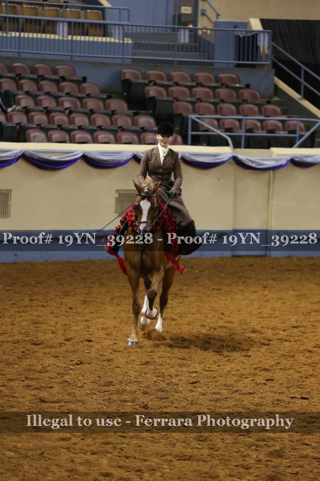Proof 19YN_39228