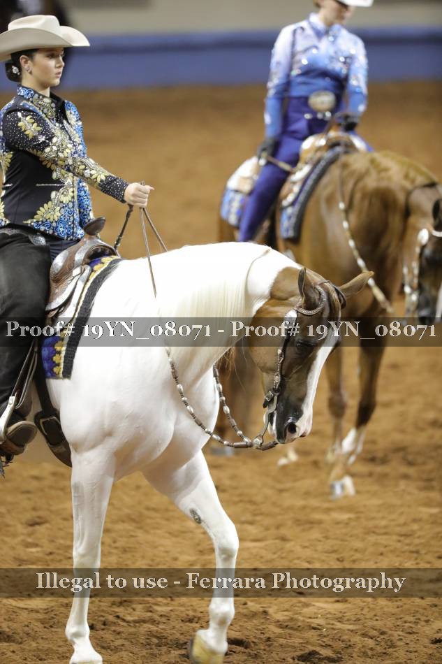 Proof 19YN_08071