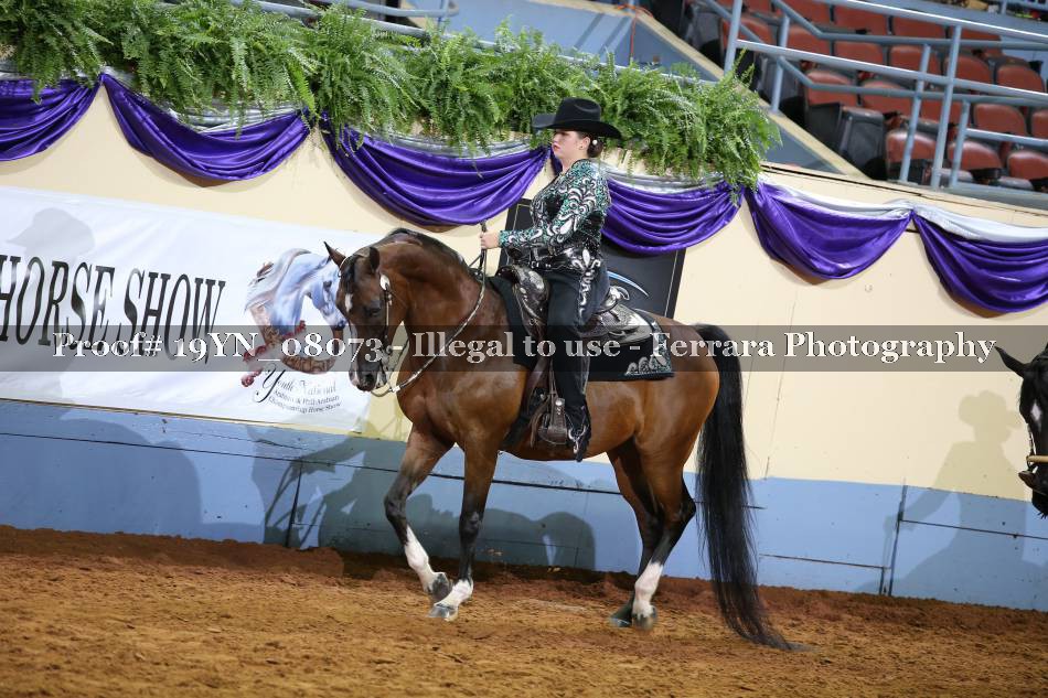 Proof 19YN_08073