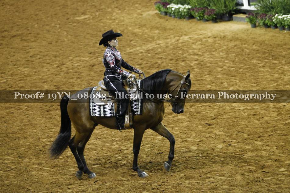 Proof 19YN_08083