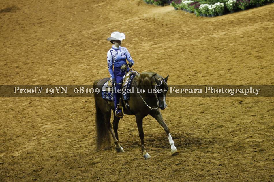 Proof 19YN_08109