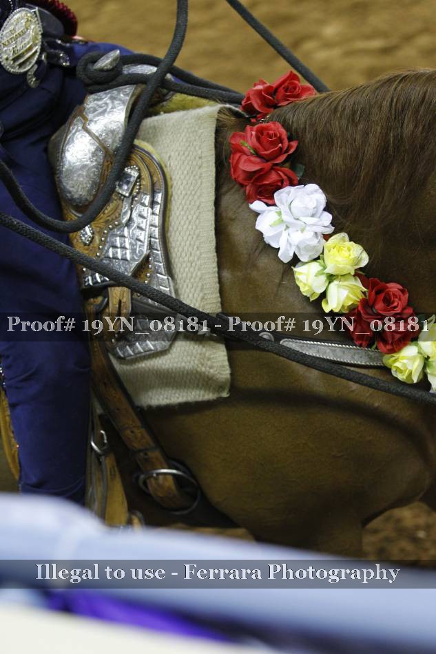 Proof 19YN_08181