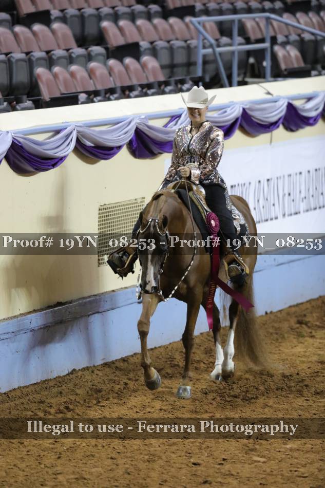 Proof 19YN_08253