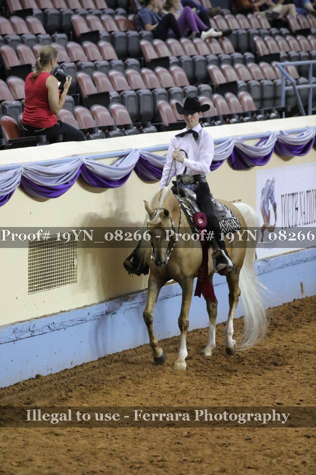 Proof 19YN_08266