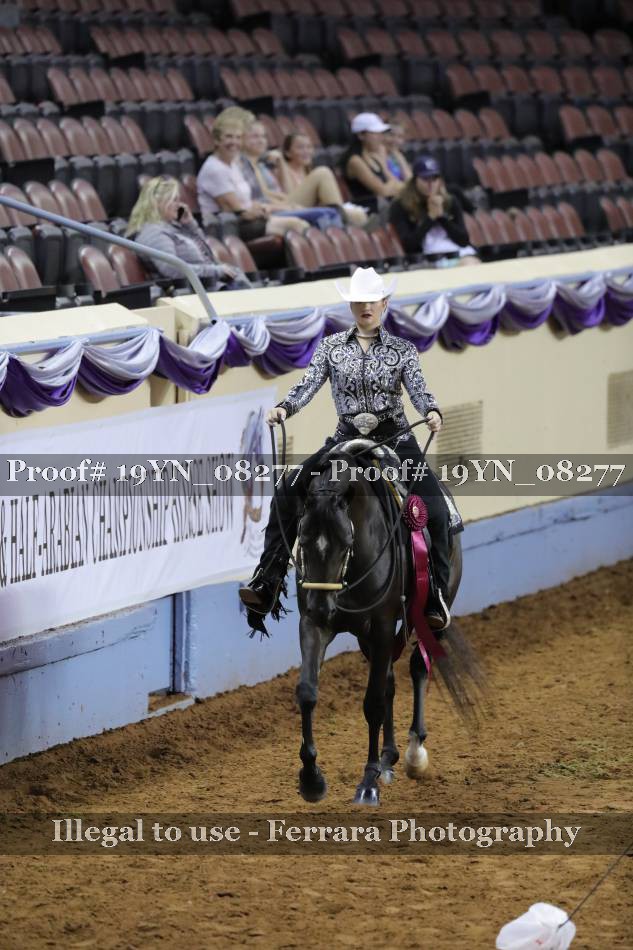 Proof 19YN_08277