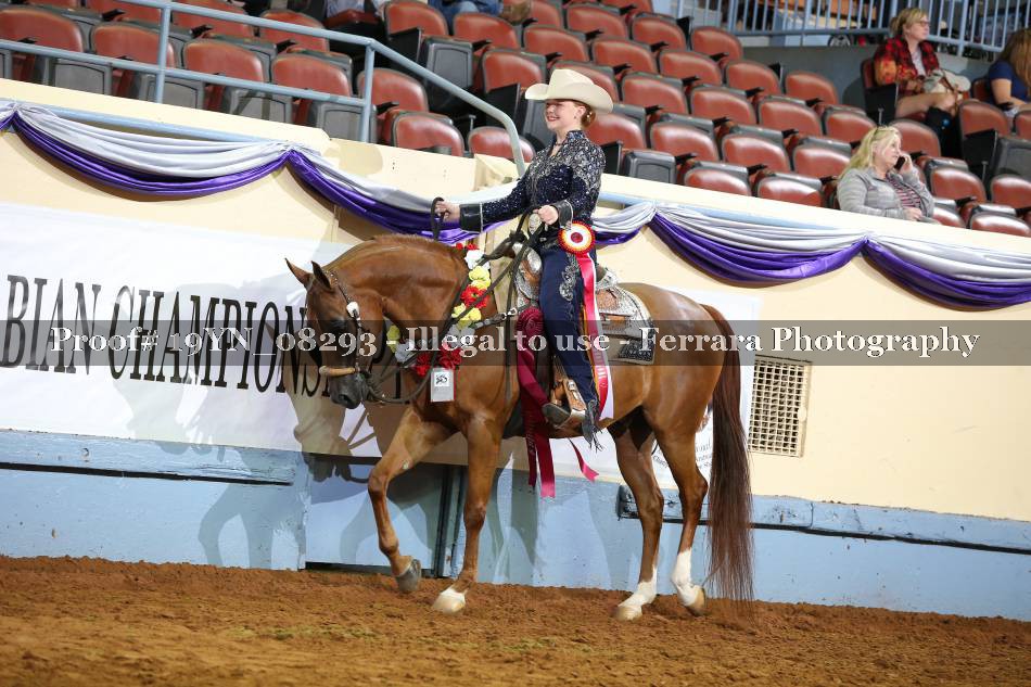 Proof 19YN_08293