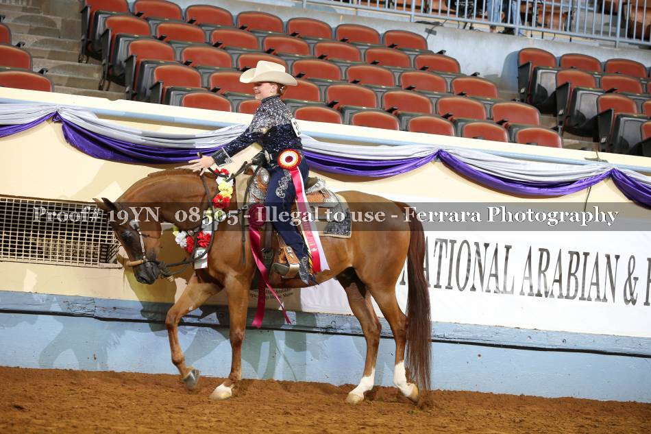 Proof 19YN_08505