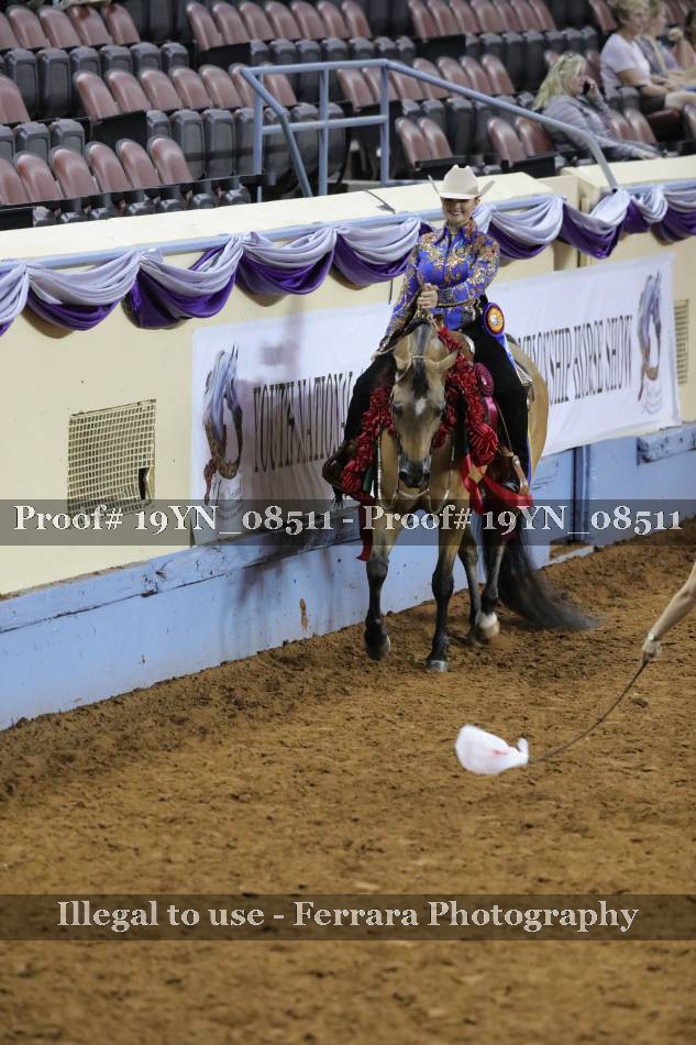 Proof 19YN_08511