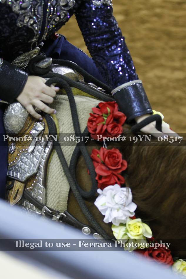 Proof 19YN_08517
