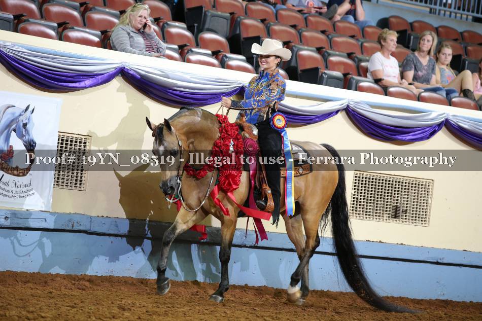 Proof 19YN_08519