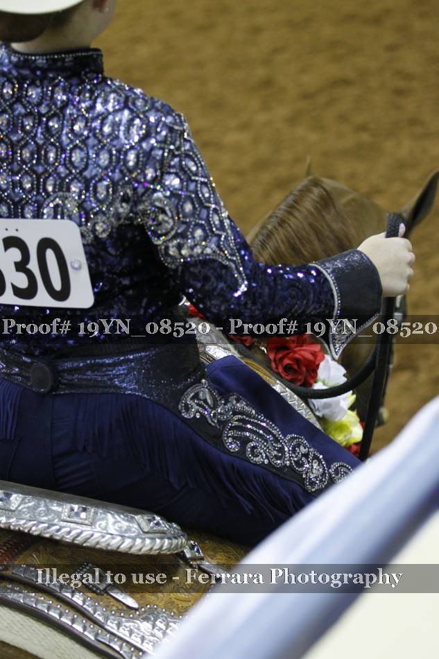 Proof 19YN_08520
