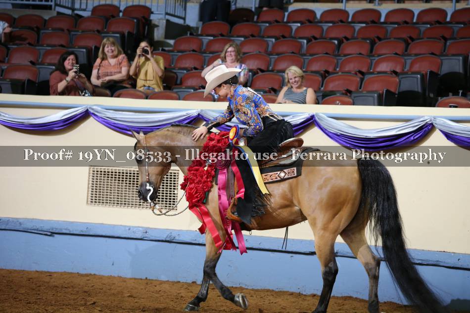 Proof 19YN_08533