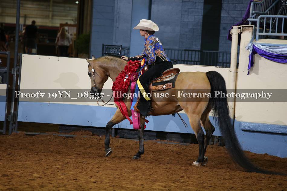 Proof 19YN_08537