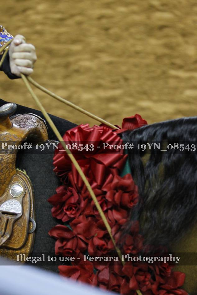 Proof 19YN_08543