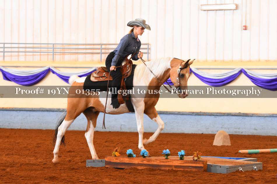 Proof 19YN_01355